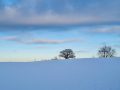 20221216_142611-scaled