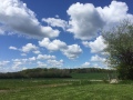 Grillplatz Ausblick